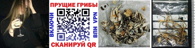 Псилоцибиновые грибы MAGIC MUSHROOMS  ОМГ ОМГ как войти  Славск 